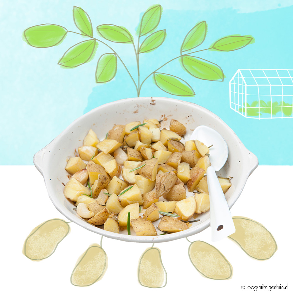 Charlotte aardappel uit de oven
