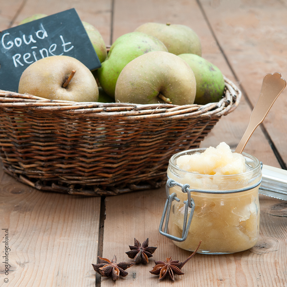 Recept: appelcompote met steranijs en kaneel