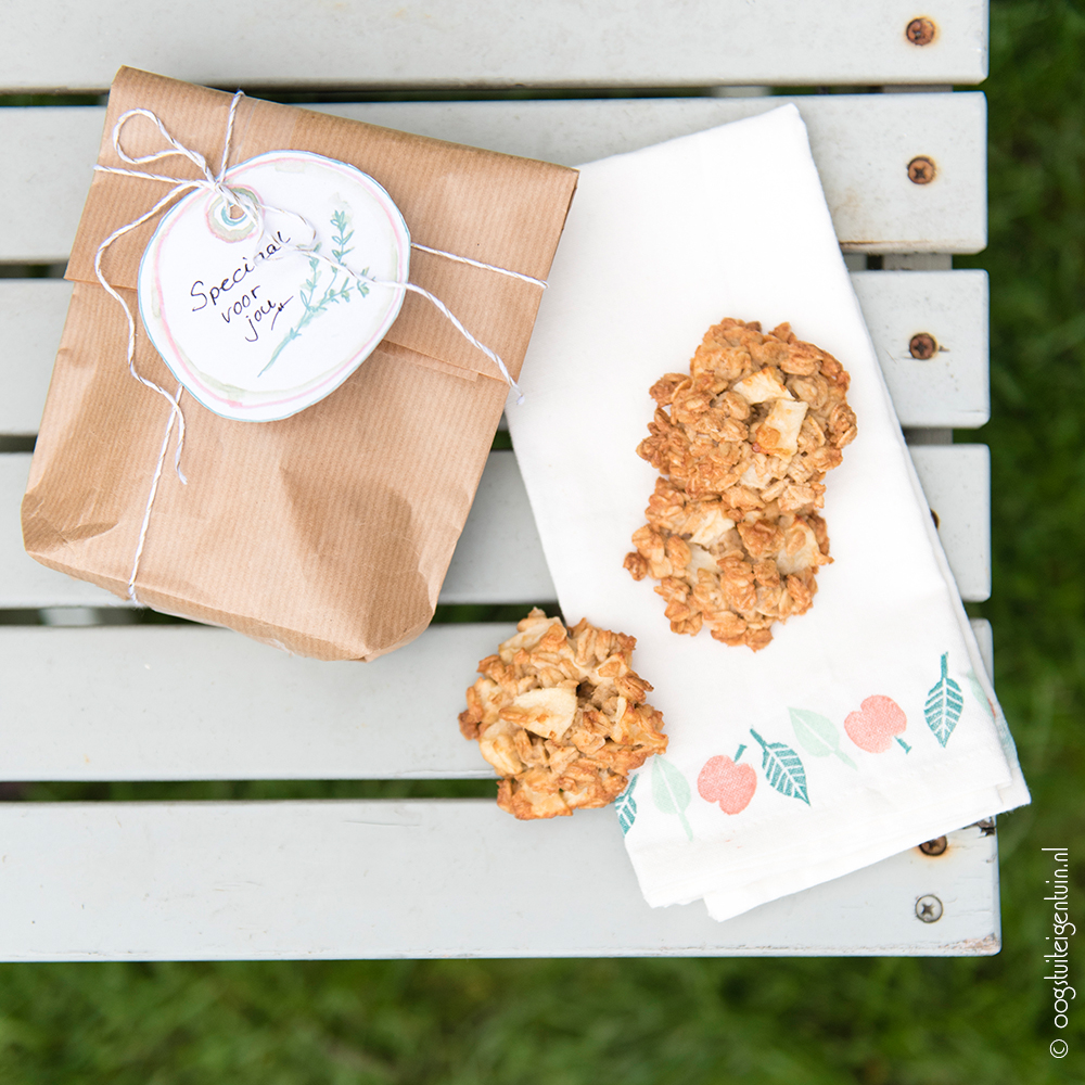 recept Havermoutmopjes